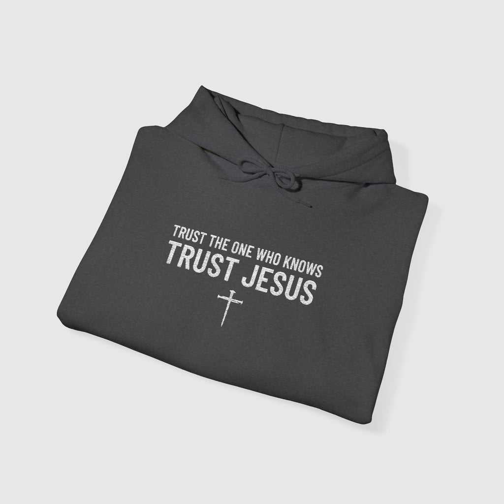 Trust Jesus Embroidery Sweatshirt