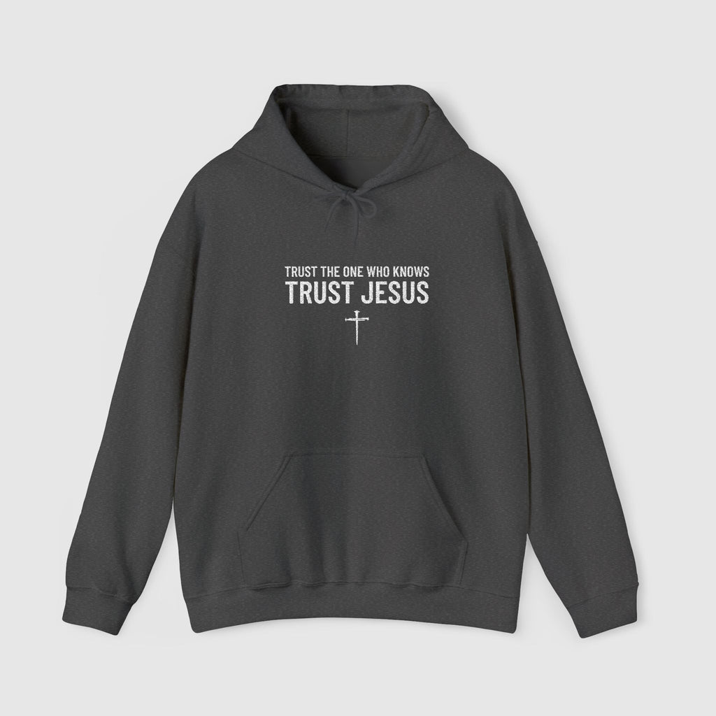 Trust Jesus Embroidery Sweatshirt