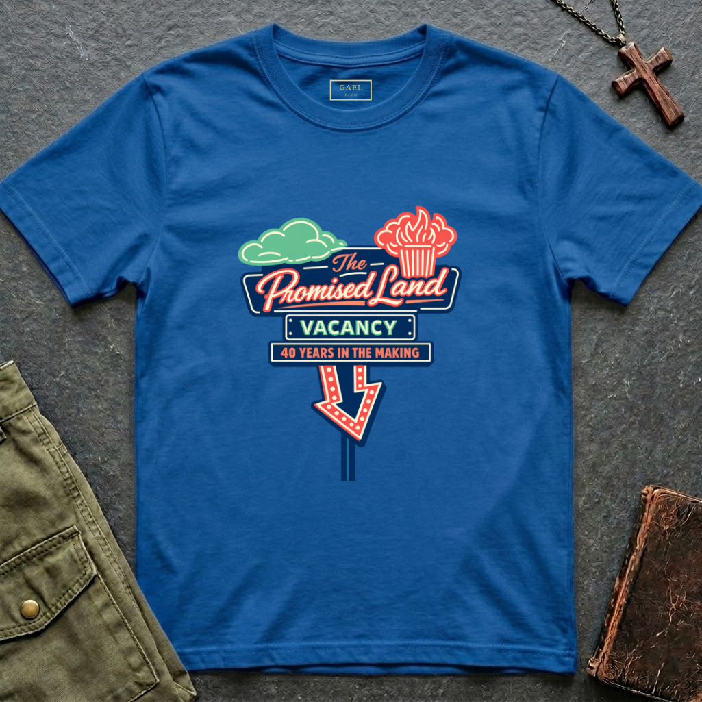 The promised land vacancy T-shirt