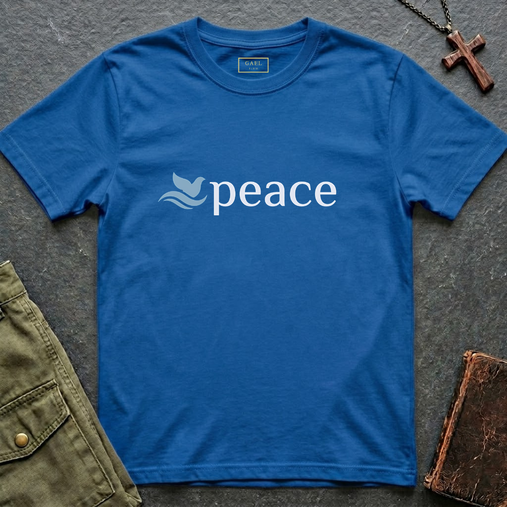 Peace text T-shirt